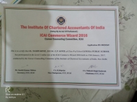 Certificates Received From ICAI Level 1