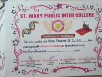 Science Exhibition (Certificate Of Excellence)10th